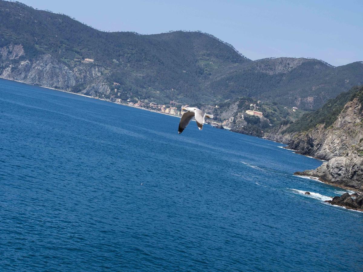 Ventega Sea View Apartment Vernazza Dış mekan fotoğraf